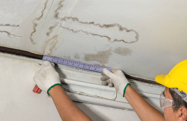 Reliable Mold Remediation contractor in Beecher, MI by Water Damage Irwin